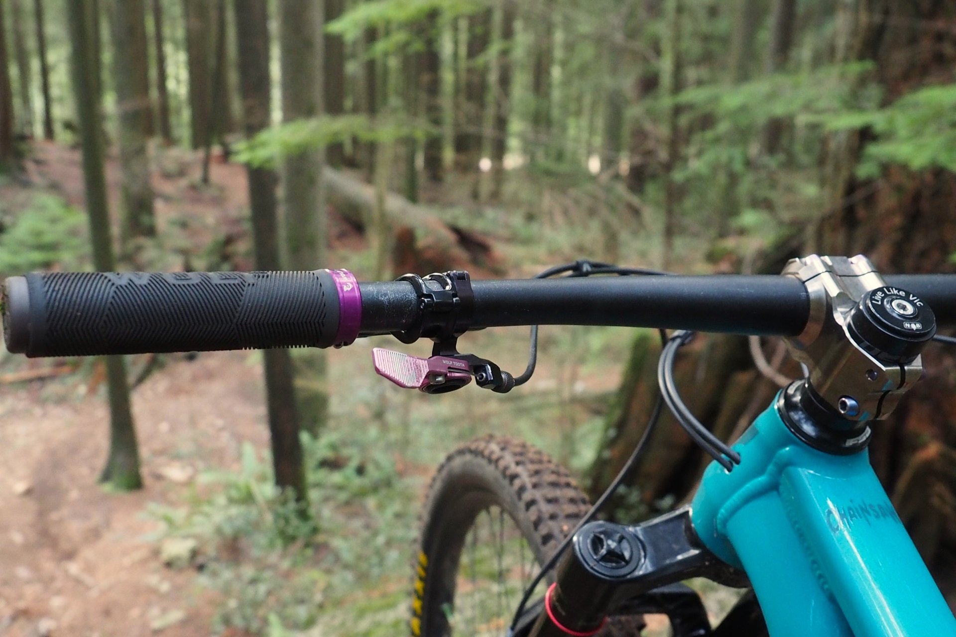 Devinci Chainsaw Fit Part Swap NSMB Andrew Major