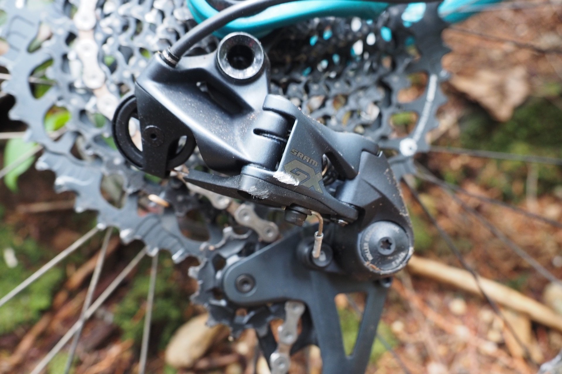 Devinci Chainsaw GX Ride Down NSMB Andrew Major (1)