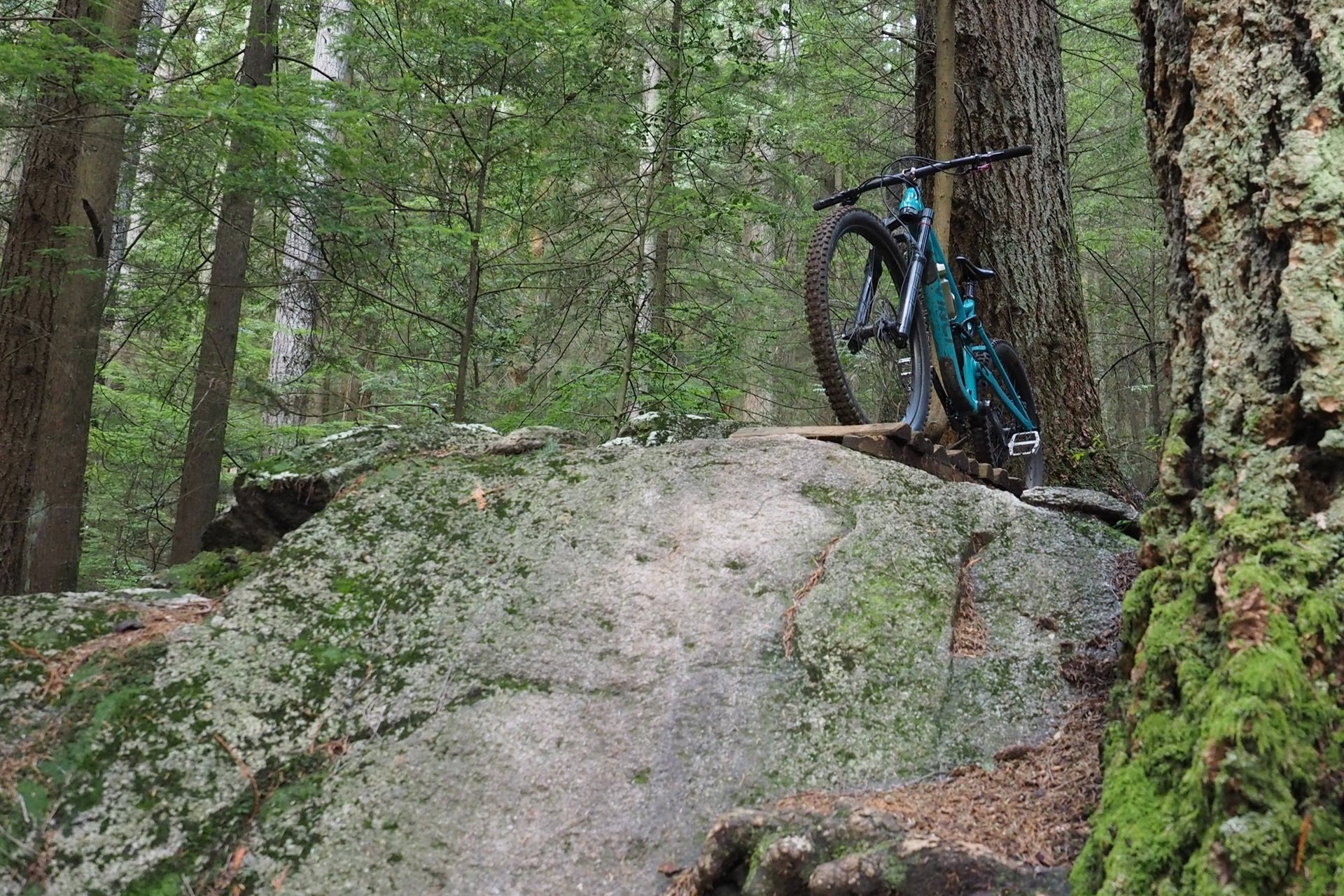 Devinci Chainsaw GX Ride Down NSMB Andrew Major (5)