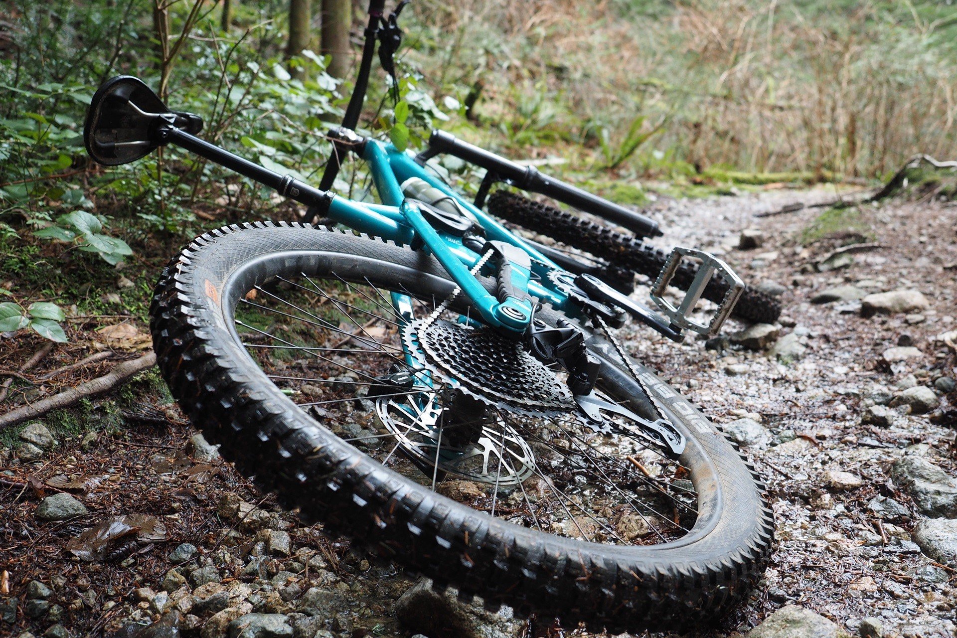 Devinci Chainsaw GX Ride Up NSMB Andrew Major (1)