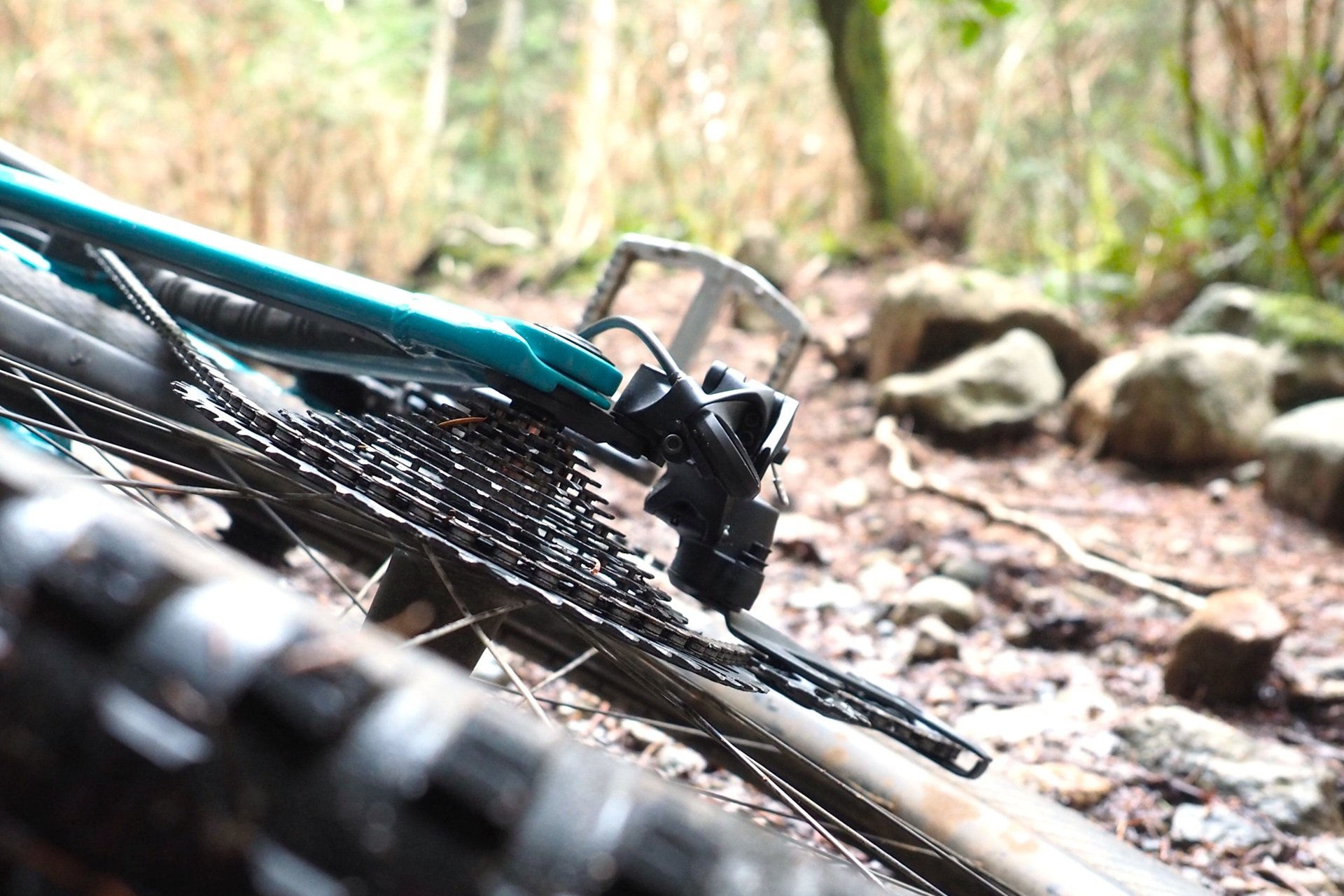Devinci Chainsaw GX Ride Up NSMB Andrew Major (2)