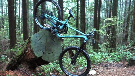 Devinci Chainsaw NSMB Andrew Major by Clairebarian (1)