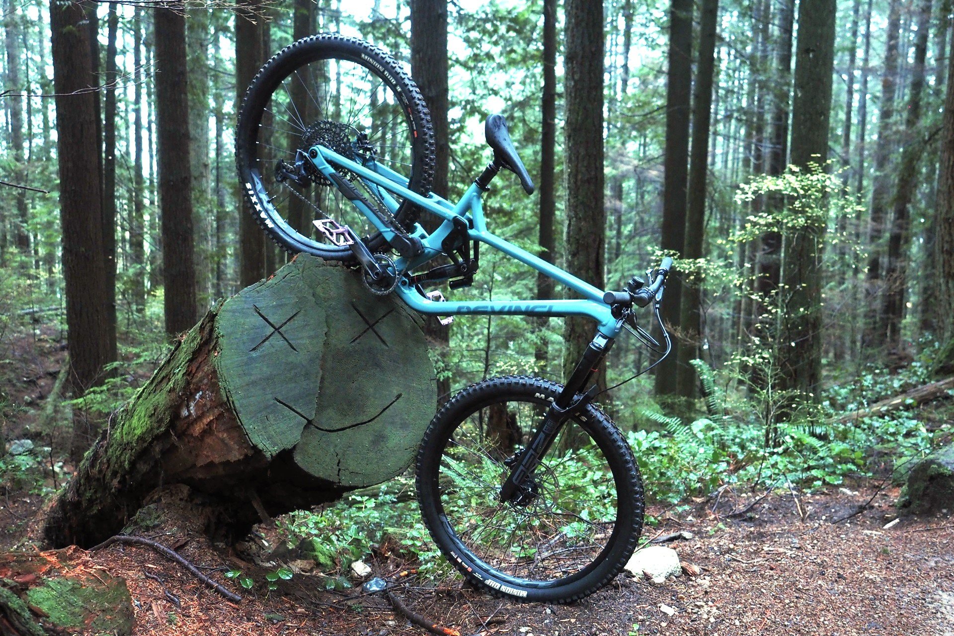 Devinci Chainsaw NSMB Andrew Major by Clairebarian (1)