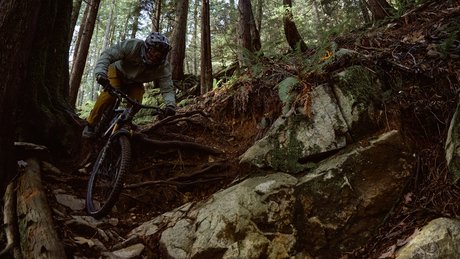 nomad indy root roll