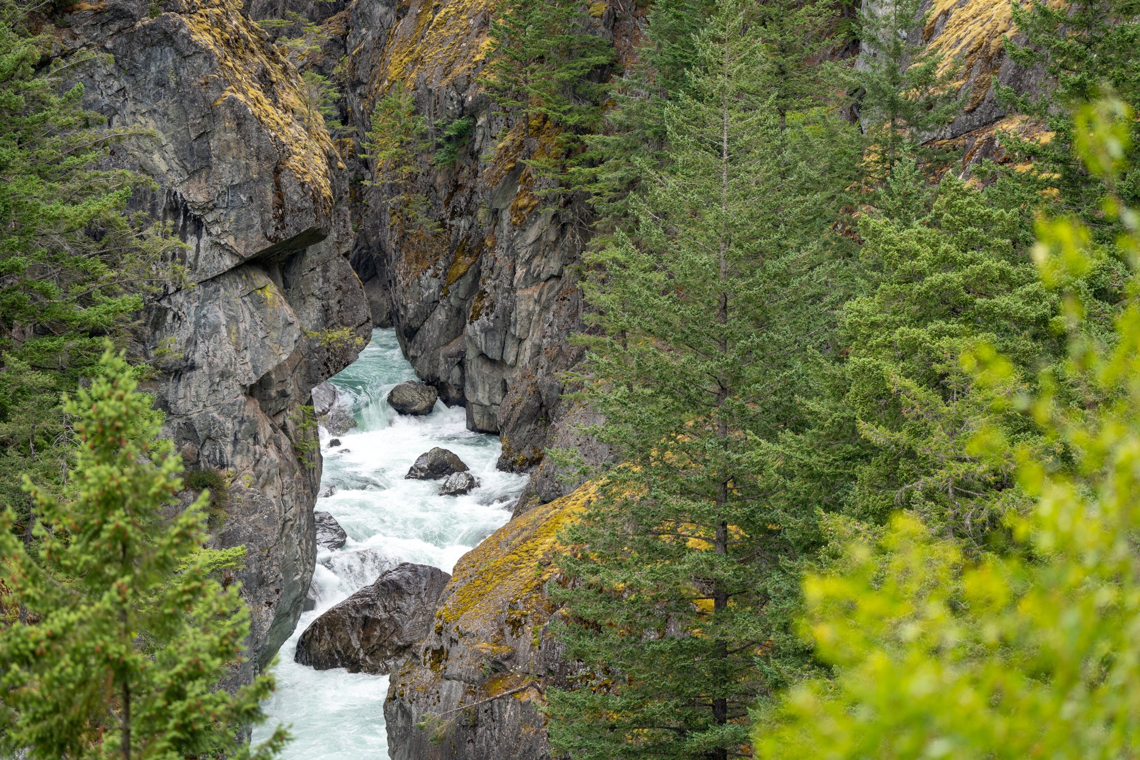 Sea to Sky Trail 15